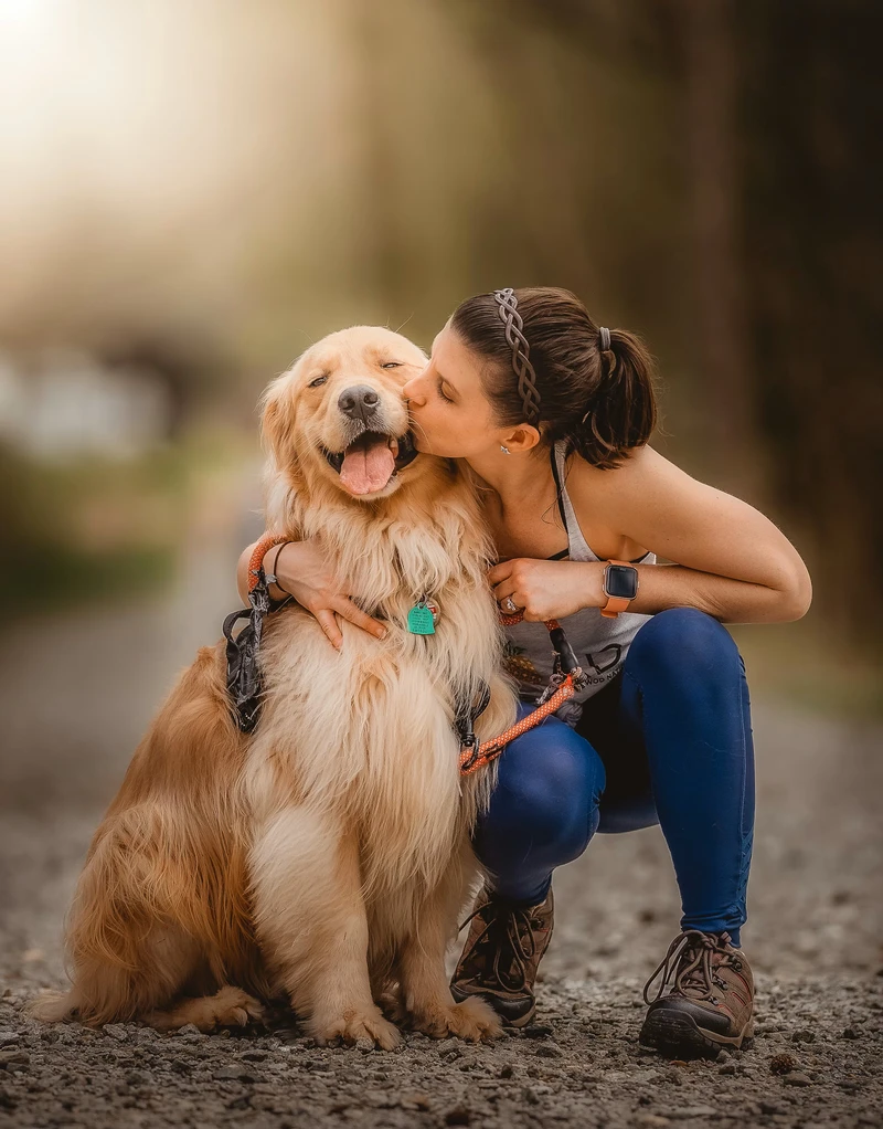 NativeGut dog probiotic supplement pouch for gut health support