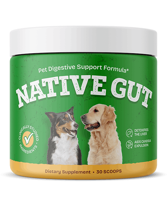logo-nativegut