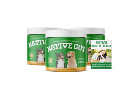 NativeGut 3 bottle pack — most popular