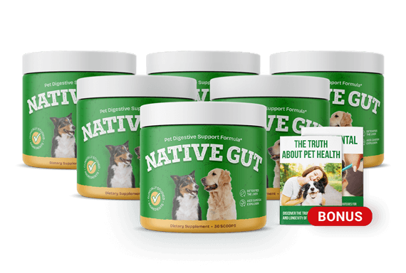 NativeGut 6 bottle pack — best value