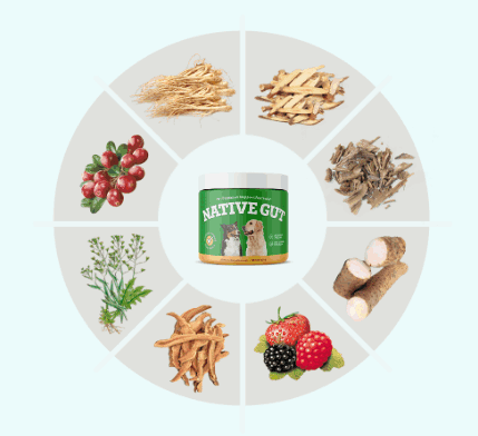 NativeGut ingredients